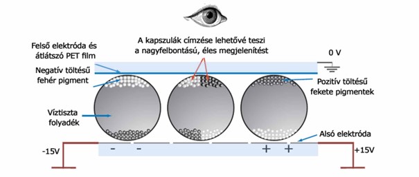 Telepes táplálású elektronikai eszközök alternatív kijelzői pmOLED és E-papír technológia az Endrich kínálatában
